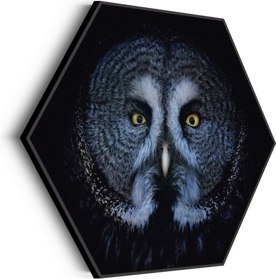 Akoestisch Schilderij Uil Hoofd Close Up Hexagon Basic XL (140 X 121 CM) - Akoestisch paneel - Akoestische Panelen - Akoestische wanddecoratie - Akoestisch wandpaneel