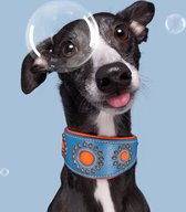 DWAM Dog with a Mission Halsband Hond – Hondenhalsband – Windhond – Blauw – Leer – M – Halsomvang 32-39 cm – Jones