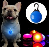 Veiligheidslamp Voor Hond I LED Honden Cadellight I Dierenlampje I Lampje Hondenhalsband I Blauw