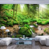 Fotobehangkoning - Behang - Vliesbehang - Fotobehang van het Bos - Humid Forest - 150 x 105 cm