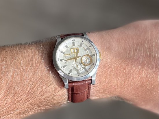 Bracelet de montre en cuir alligator de Premium de 22 mm Marron / aspect cuir d'alligator / bracelet de montre en cuir marron avec extracteurs à dégagement rapide