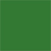 Teinture Textile Créotime Solide 50 Ml Vert