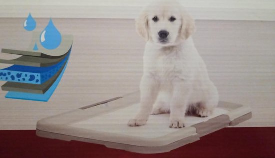 STILGUT Voedingsbak Voor Hond & Kat, Aluminium Voerbak 0 2 L Hondenbak Kattenbak