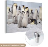 MuchoWow® Glasschilderij 60x40 cm - Schilderij acrylglas - Pinguïns - Sneeuw - Dieren - Foto op glas - Schilderijen