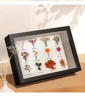 Repus - Frame Box - Art - Fotolijst - Droge bloemen - Display - Shadow Frame - DIY - Maat: A4 - Zwart