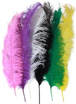 6 x plumes Spadonis couleurs assorties (50 cm)