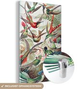 MuchoWow® Glasschilderij 20x30 cm - Schilderij acrylglas - Kolibrie - Vintage - Ernst Haeckel - Vogel - Kunst - Natuur - Foto op glas - Schilderijen