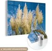 MuchoWow® Glasschilderij 180x120 cm - Schilderij acrylglas - Pampasgras - Plant - Natuur - Foto op glas - Schilderijen