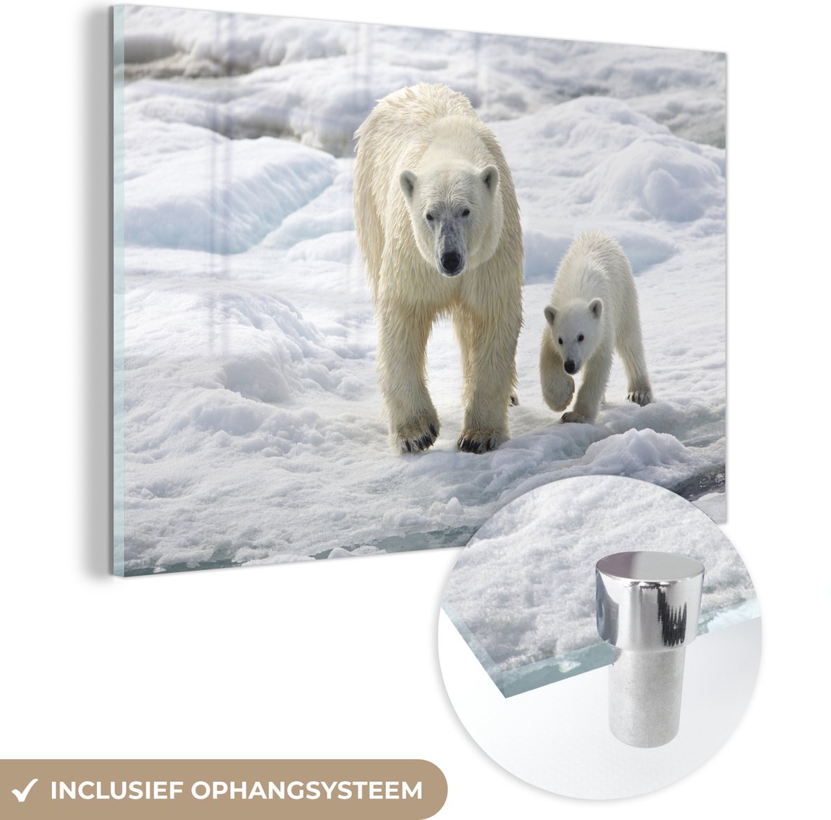 MuchoWow® Glasschilderij 60x40 cm - Schilderij acrylglas - IJsbeer - Welp - Baby - Foto op glas - Schilderijen
