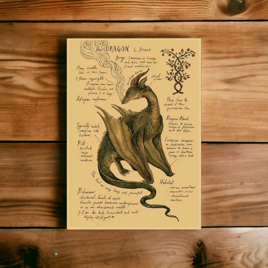 AliRose Poster - THE DRAGON - Harry Potter - Mystical Animals - Mysterieuze Wezens - Magic - Vintage Poster - Dark Creatures - Draak - 50x70cm - Geen Frame