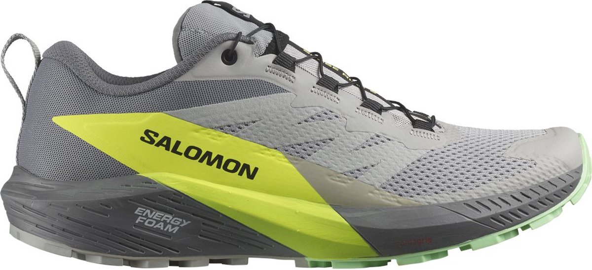 Salomon Sense Ride 5 Trailrunningschoenen Grijs EU 44 2/3 Man