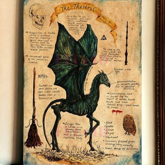 AliRose Poster - THESTRAL - Harry Potter - Mystical Animals - Mysterieuze Wezens - Magic - Vintage Poster - Dark Creatures - Dark Horse - 50x70cm - Geen Frame