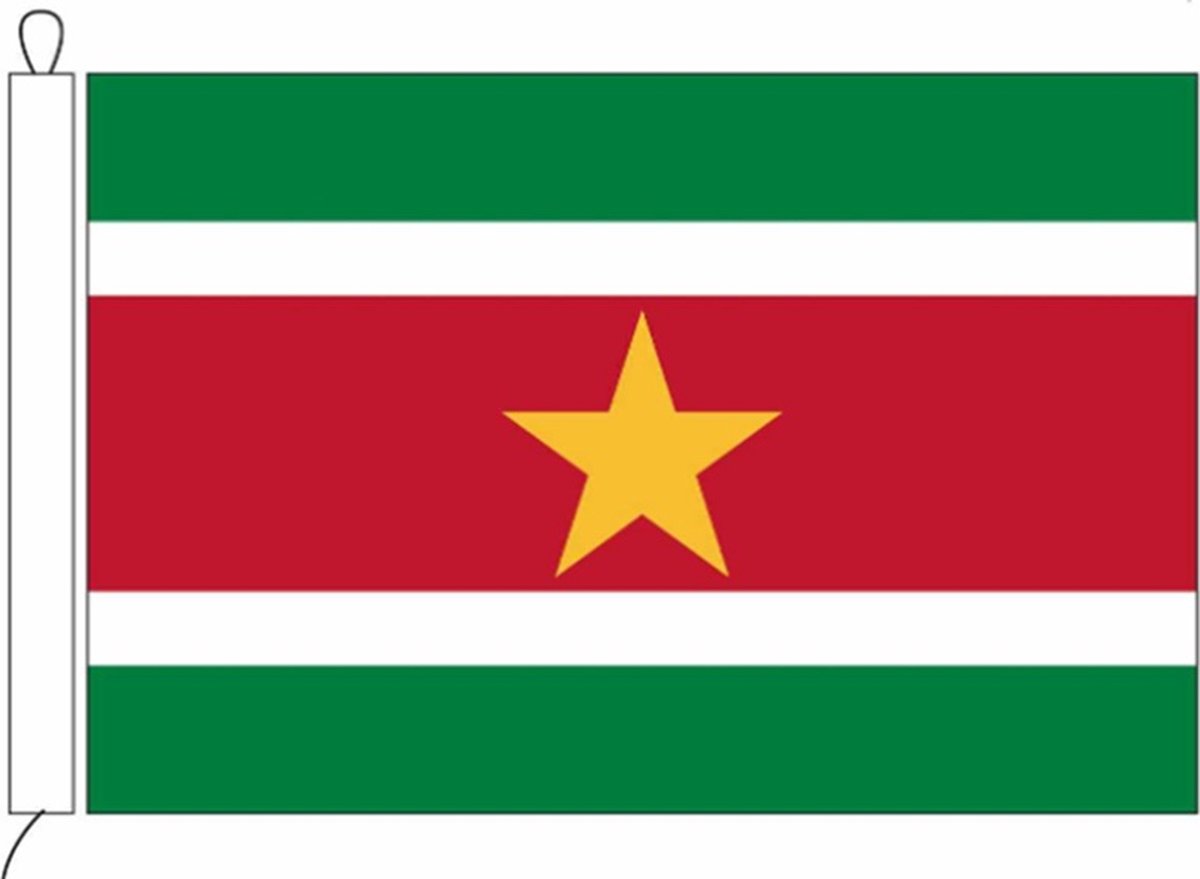 Surinaamse vlag van Suriname 20 x 30 cm