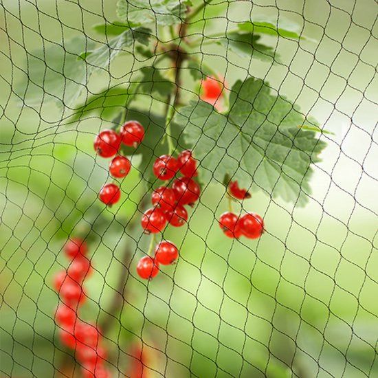 MAILEKT Vogelbeschermingsnet, vogelnet, zwart, plantennet, scheurvast, duurzaam vogelbeschermingsnet (grote gaten, maaswijdte 5 x 5 cm