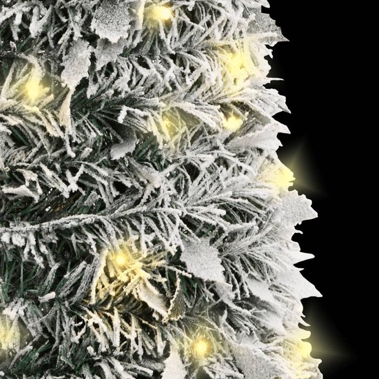 Action 50 - Kerstboom kopen? | Korting tot 25