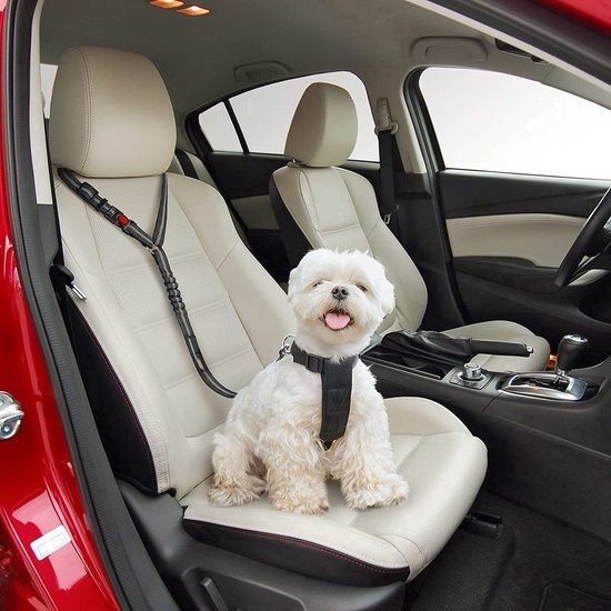 BOTC Autogordel Hond - 2 IN 1 Hondengordel - Honden autogordel - Reflecterende - Veiligheidsgordel hond - Autoriem Hond - Zwart - BOTC