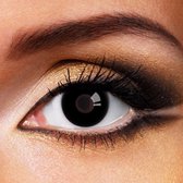 Partylens® kleurlenzen - Black Eye - jaarlenzen met lenshouder - zwarte contactlenzen