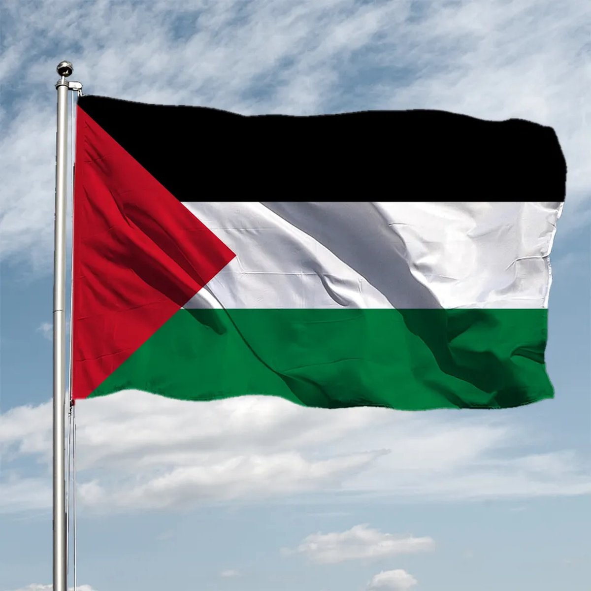 Repus - Palestijnse vlag - Palestina Flag - Palestina - Polyester - 90x150cm