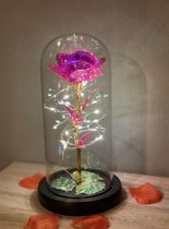 Eeuwige Roze Galaxy Roos in glazen stolp met LED - Kerstcadeau - Valentijn cadeau - Moederdag, Trouw & Liefde Cadeau - Cadeau voor haar - Liefdes cadeautje - Huwelijkscadeau - Valentijnsdag