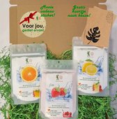 Brievenbus cadeau pakket Gezonde Limonade - 3 smaken naar keuze - 100% biologisch - suikervrij - duurzaam - verjaardag - succes - bedankt - Kerst - Sint - Sinterklaas