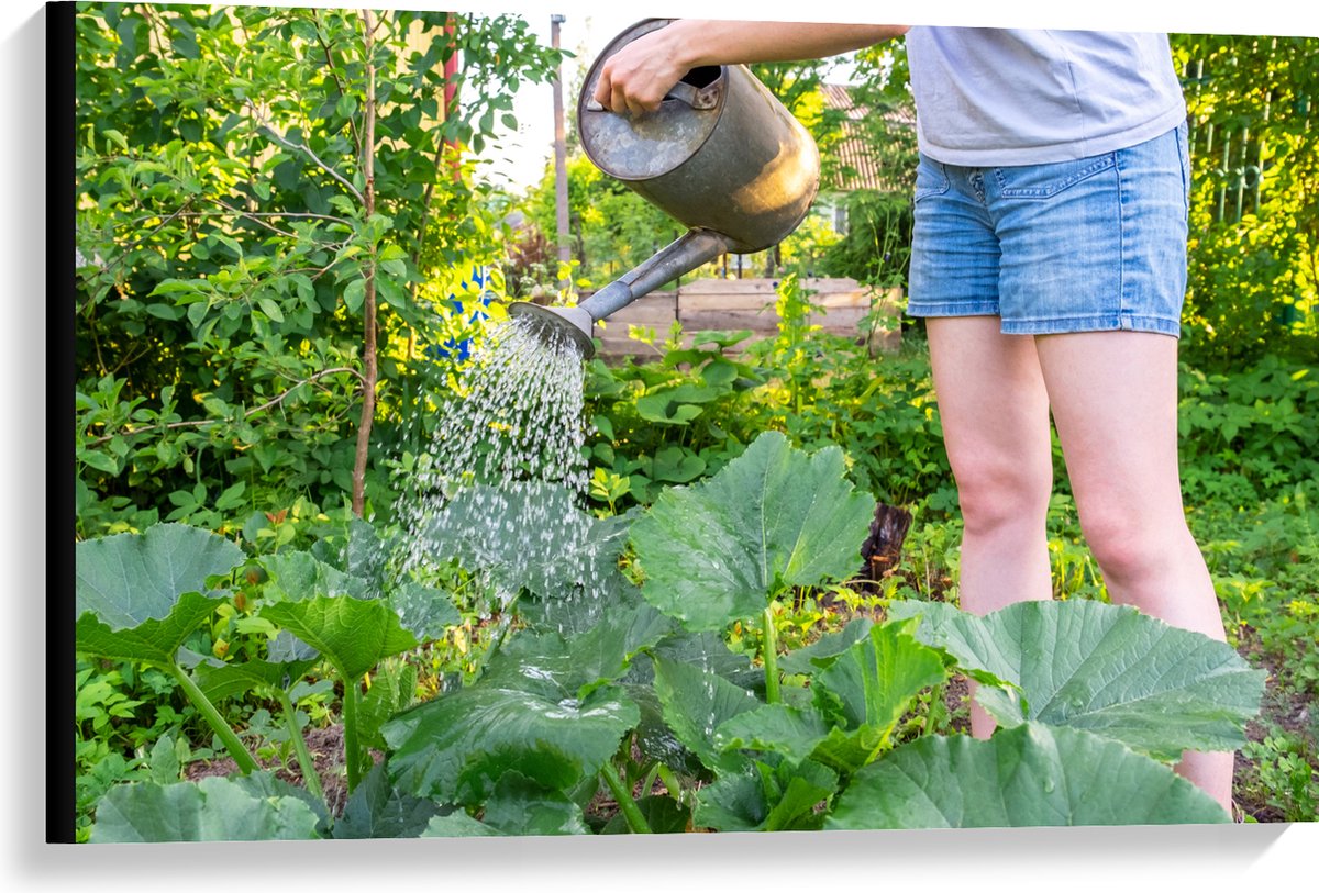 Canvas - Tuin - Bloemen - Planten - Gieter - Water - Groen - 90x60 cm Foto op Canvas Schil