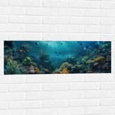 Muursticker - Oceaan - Zee - Dieren - Vissen - Koraal - Kleuren - 90x30 cm Foto op Muursticker
