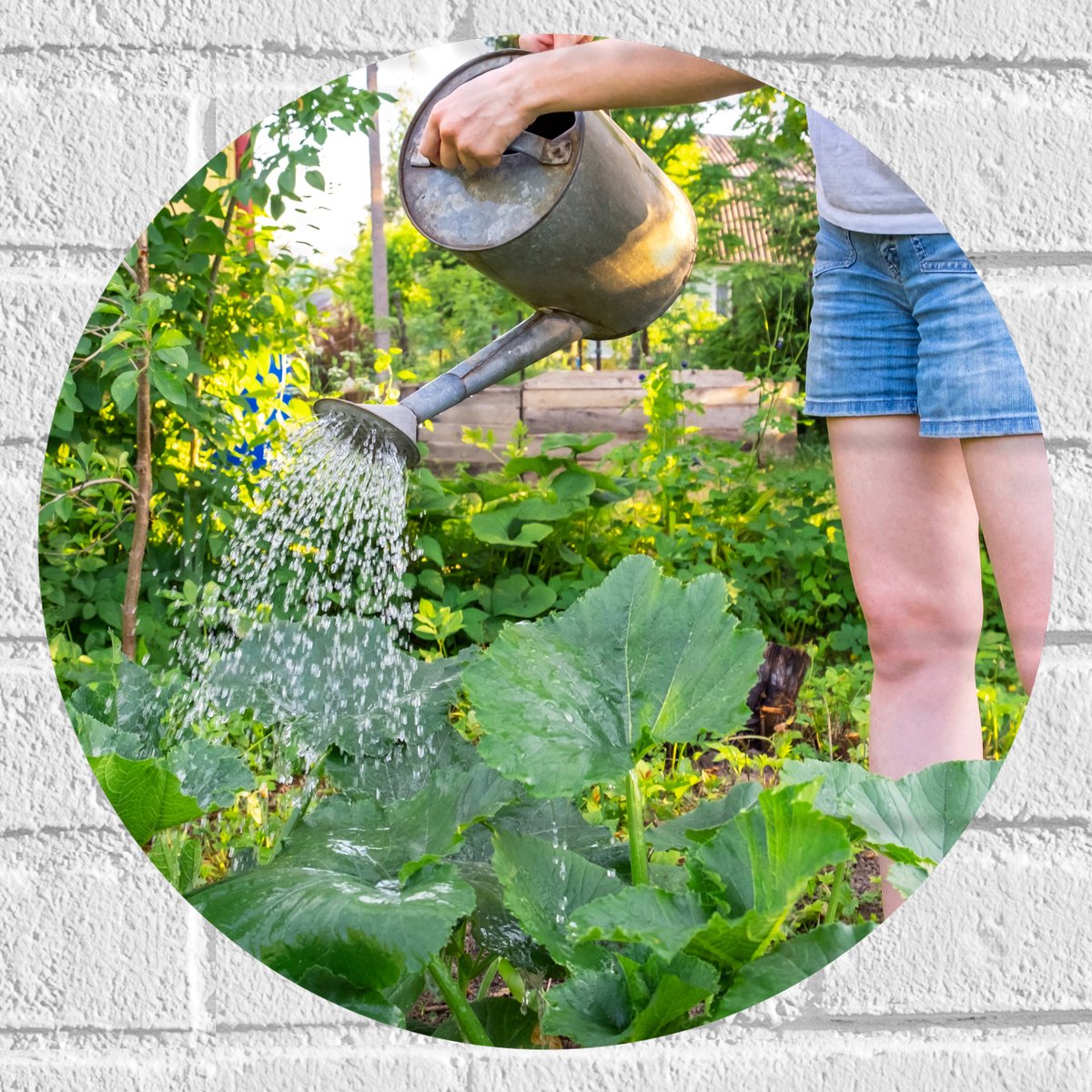 Muursticker Cirkel - Tuin - Bloemen - Planten - Gieter - Water - Groen - 40x40 cm Foto op 