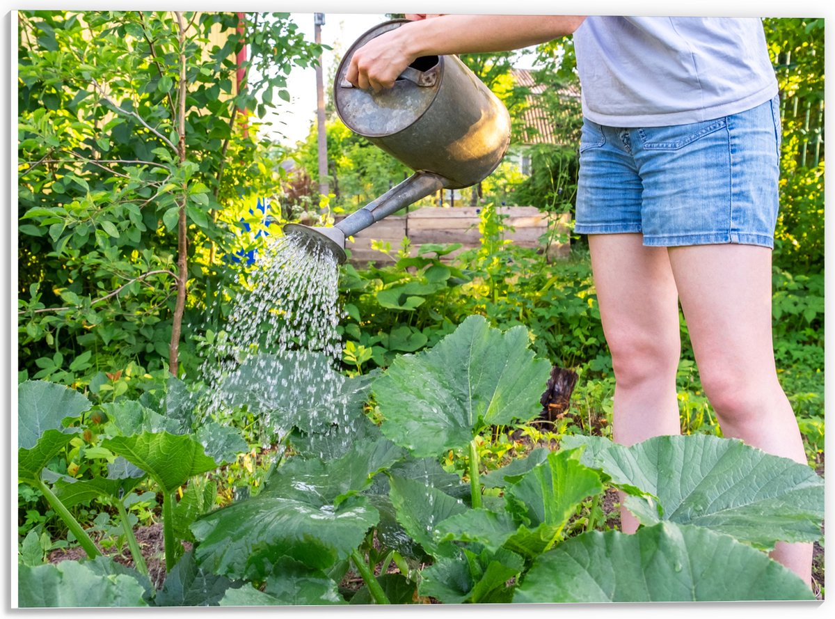 PVC Schuimplaat- Tuin - Bloemen - Planten - Gieter - Water - Groen - 40x30 cm Foto op PVC 