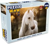 Puzzel Paard - Zon - Herfst - Dieren - Natuur - Legpuzzel - Puzzel 1000 stukjes volwassenen