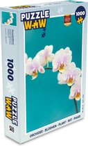 Puzzel Orchidee - Bloemen - Plant - Wit - Paars - Legpuzzel - Puzzel 1000 stukjes volwassenen