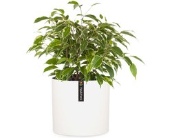 Fox & Fern Bloempot met stop, Bloempot groot voor binnen/buiten, Sierpot UV- & vorstbestendig, Polystone-bloempotten wit, Bloempot 25 cm diameter, Grote plantenpot voor kamerplanten