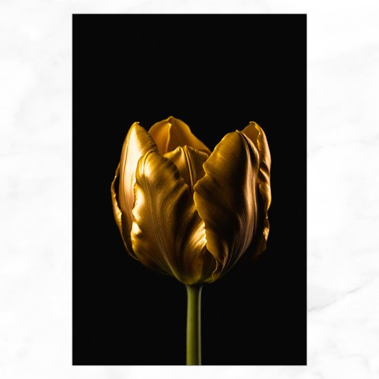 De Muurdecoratie - Gouden Tulp Met Zwarte Achtergrond - Schilderij Op Canvas - Bloemen Schilderij - Tulp - Goud - Natuur - Schilderijen Slaapkamer - 60x90 cm - Wanddecoratie