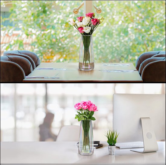 Belle Vous Iriserend Doorzichtig Kristallen Glazen Vaas - 22,3 cm - Modern Decoratieve Cylinder Bloemen Vaas voor Huis/Bruiloft Tafel Kopstuk, Kantoor Decor of Geschenk