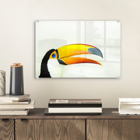 MuchoWow® Peinture sur verre 30x20 cm - Peinture acrylique sur verre - Illustration d'une tête de toucan - Photo sur verre - Peintures