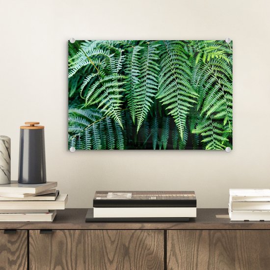MuchoWow® Peinture sur verre 30x20 cm - Peinture sur verre acrylique - Fougères vertes - Photo sur verre - Peintures