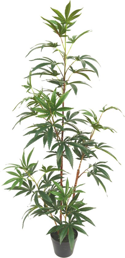 Plante Artificielle Aralia 130cm | Plante d'intérieur artificielle | plant artificielle Aralia | Plante artificielle moyenne | Faux Aralia