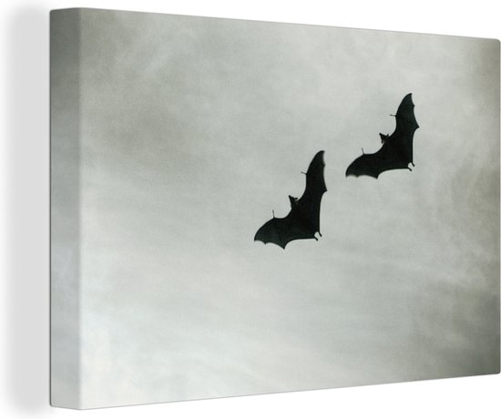 Canvas schilderij 180x120 cm - Wanddecoratie Twee vleermuizen in vlucht - Muurdecoratie woonkamer - Slaapkamer decoratie - Kamer accessoires - Schilderijen