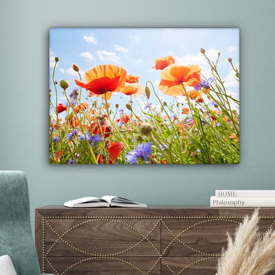 Tableau Fleurs - Coquelicot - Printemps - Nature - Rouge - Blauw - 80x60 cm - Décoration murale