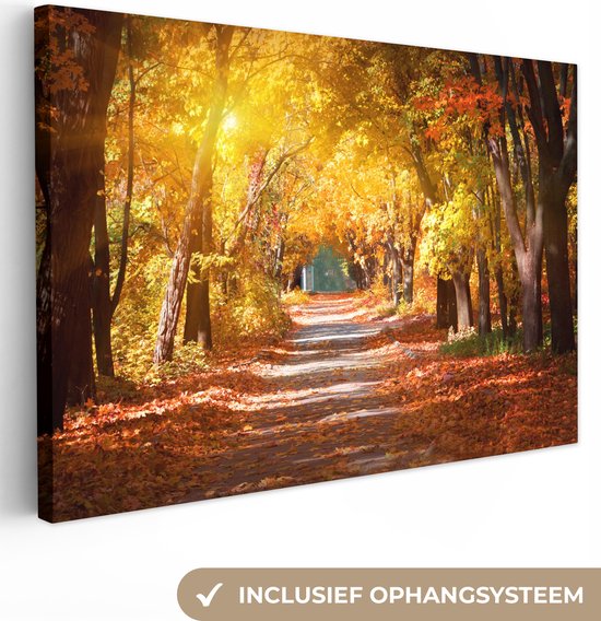 Canvas Schilderij Een bospad in de herfst - Wanddecoratie