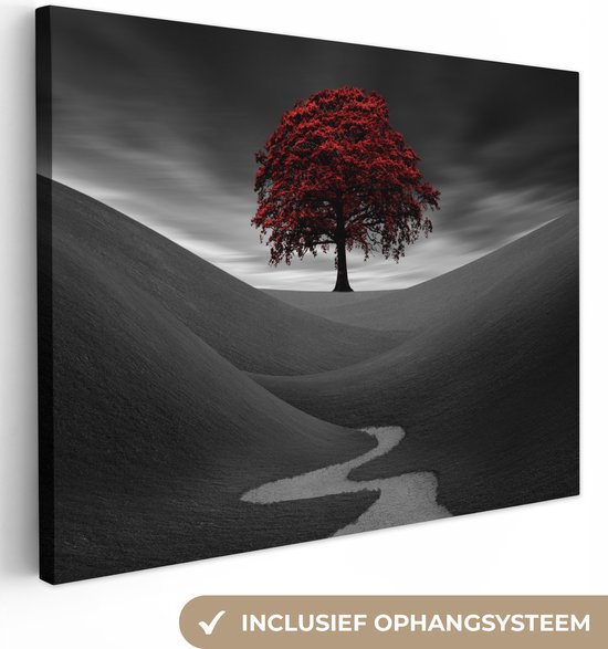 Canvas Schilderij Een zwart-wit foto met een rode boom - Wanddecoratie