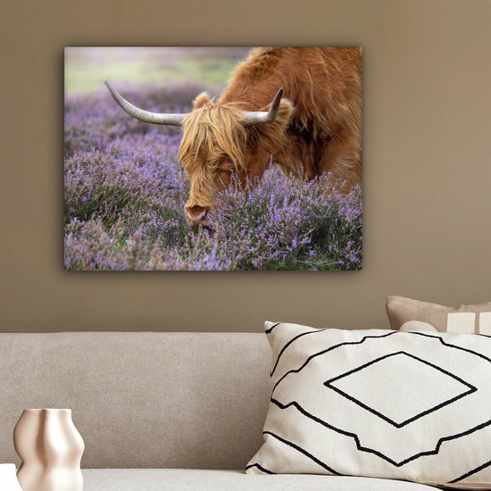 Tableau sur toile Scottish Highlander - Animaux - Bruyère - 40x30 cm - Décoration murale