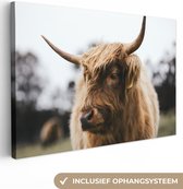 Tableau sur toile Scottish Highlander - Animaux - Cornes - 140x90 cm - Décoration murale