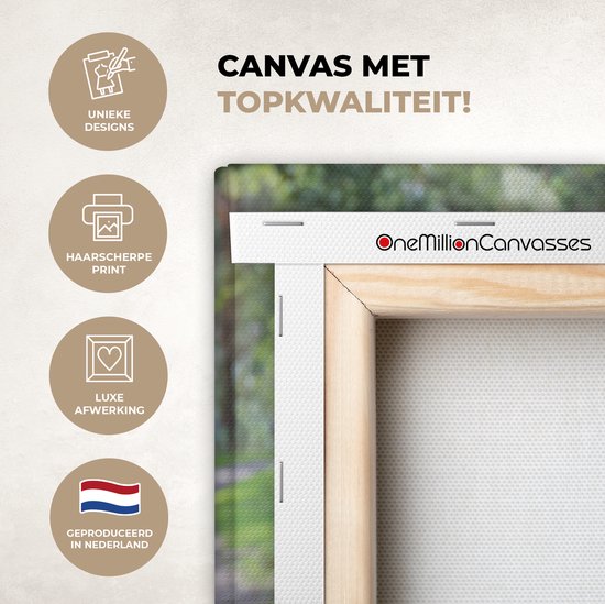 Tableau sur Toile Scottish Highlander - Crapaud - Animaux - 120x80 cm - Décoration murale