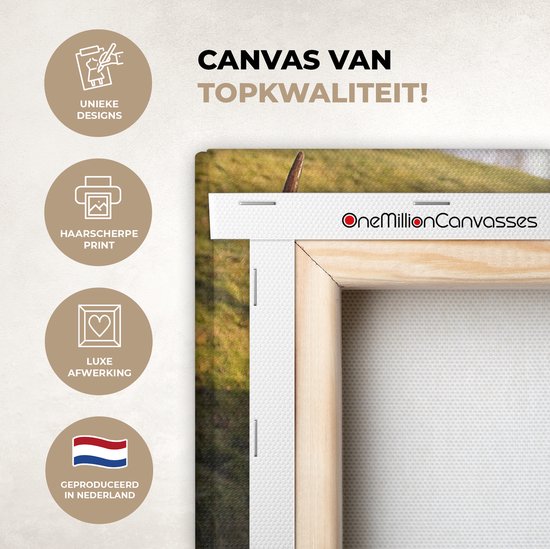 Peinture sur toile Highlander écossais - Clôture - Herbe - 30x20 cm - Décoration murale