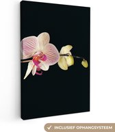 Tableau sur Toile Orchidée - Fleurs - Zwart - Rose - Bourgeons - 60x90 cm - Décoration murale