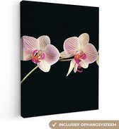 Tableau sur toile Orchidée sur fond noir - 90x120 cm - Décoration murale