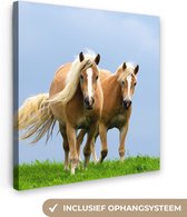 Canvas Schilderij Paarden - Gras - Lucht - 90x90 cm - Wanddecoratie
