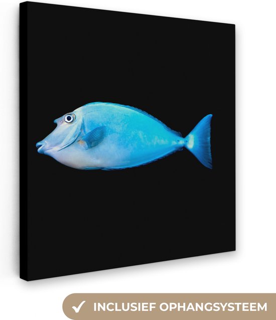 Canvas Schilderij Vis - Zeedieren - Zwart - 90x90 cm - Wanddecoratie