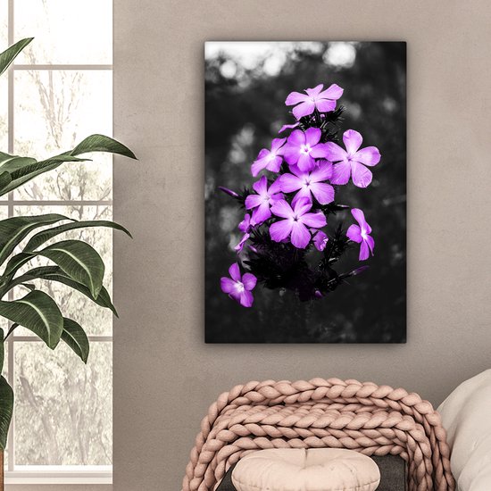 Peintures sur Toile Fleurs - Violet - Zwart - Wit - 40x60 cm - Décoration murale