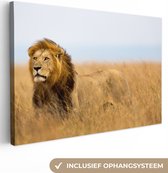 Canvas Schilderij Leeuwen - Gras - Afrika - 90x60 cm - Wanddecoratie
